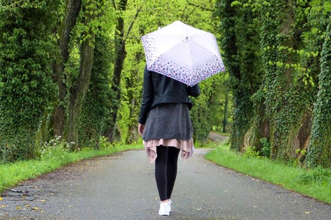 今日の運勢~決別運