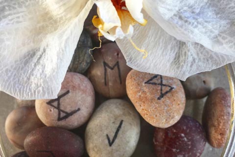 無料占いと今日の運勢